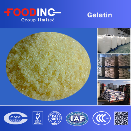 Gelatin Manufacturer