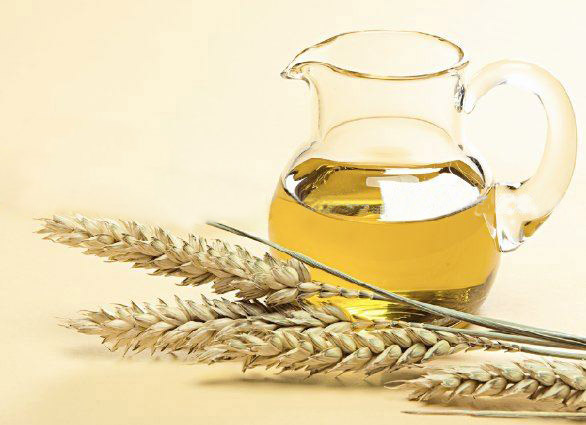 Wheat Germ Oil